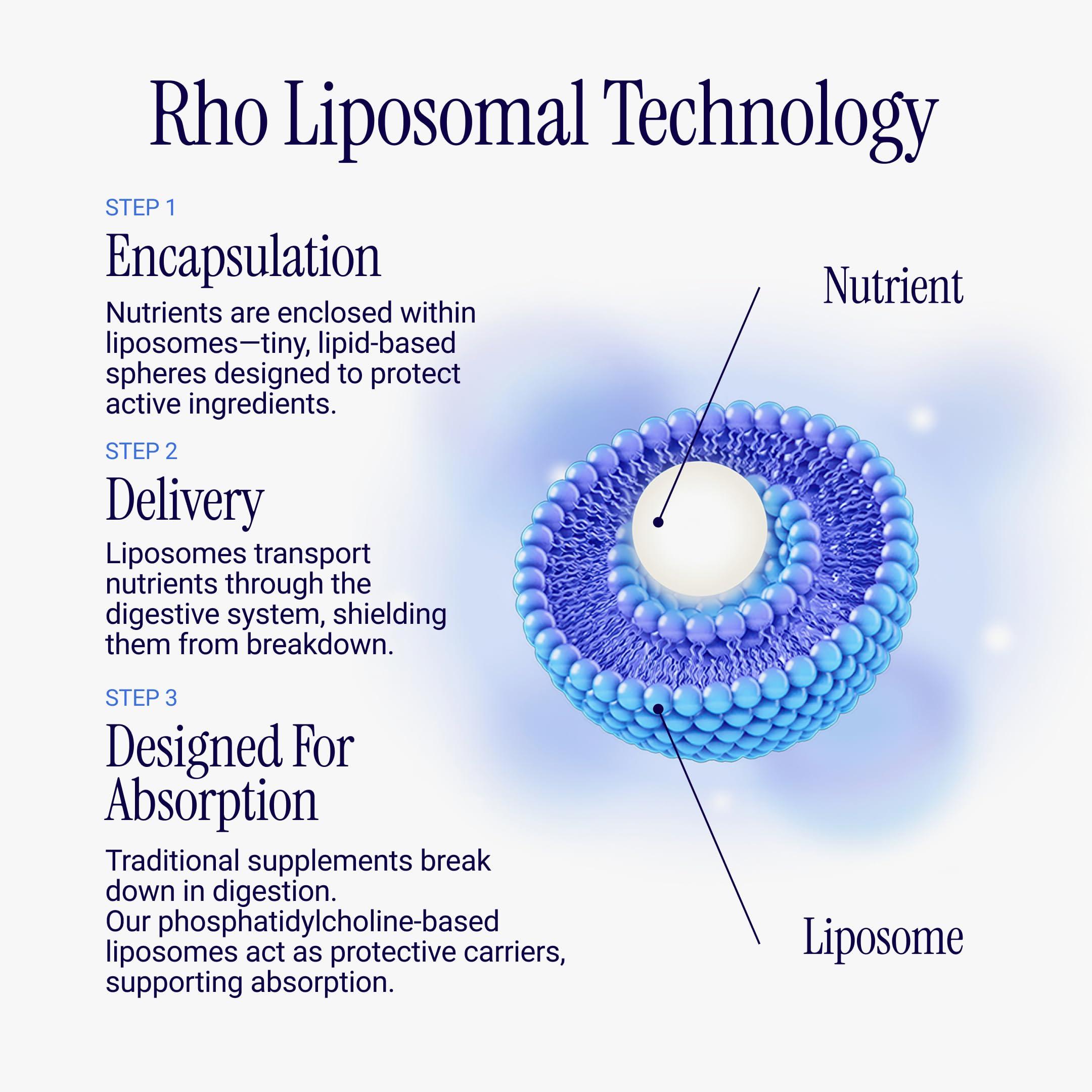 Rho Nutrition Liposomal Berberine Capsules | High Absorption

