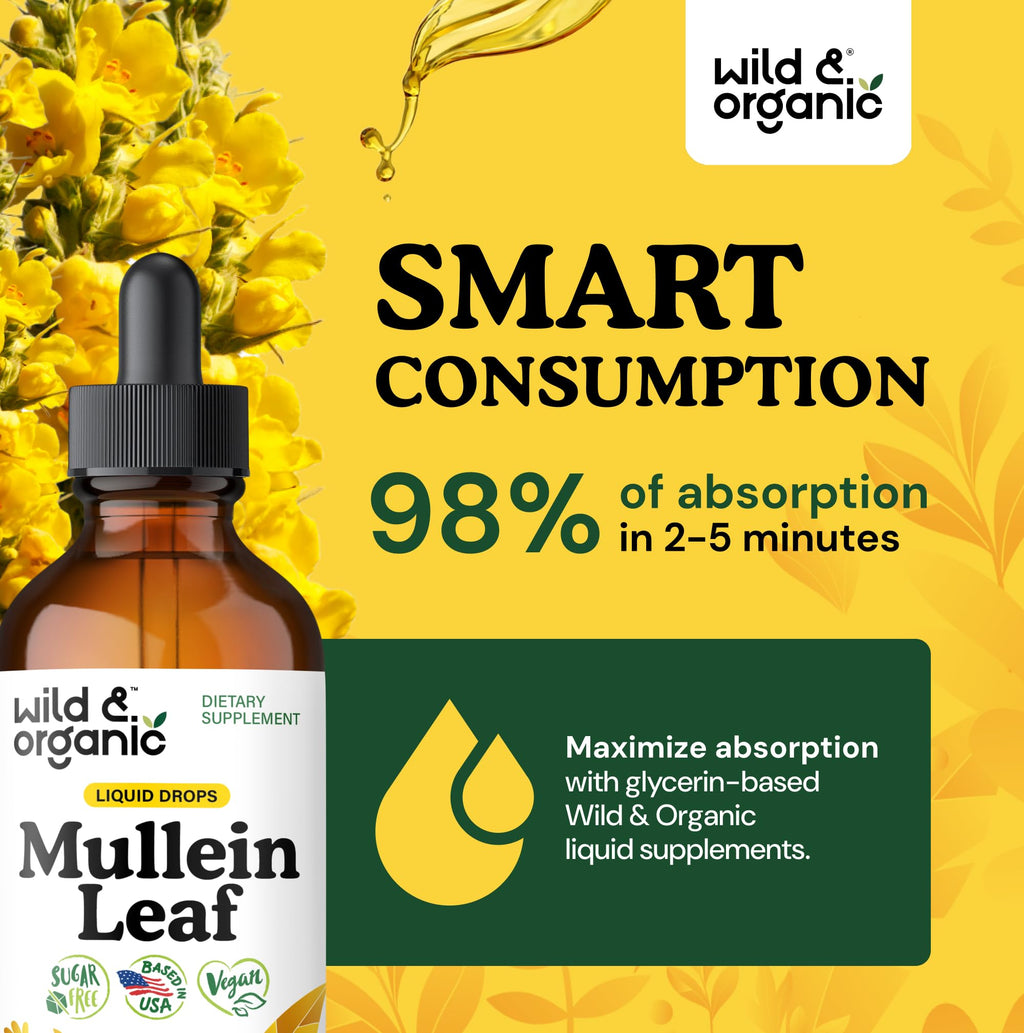 Wild & Organic Mullein Drops for Lungs with Echinacea

