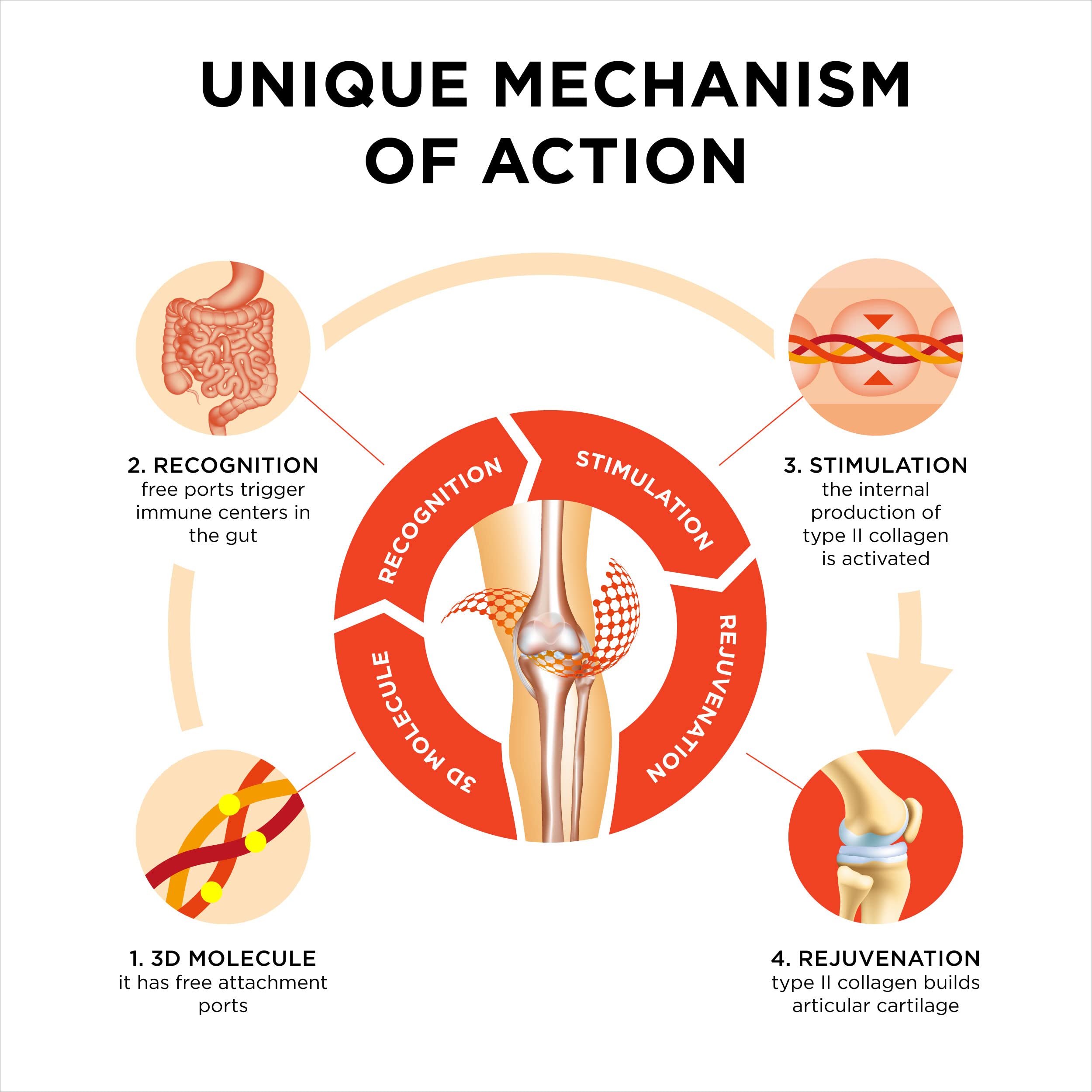 Collanol Joint Health with 3D Collagen & Micelle Turmeric


