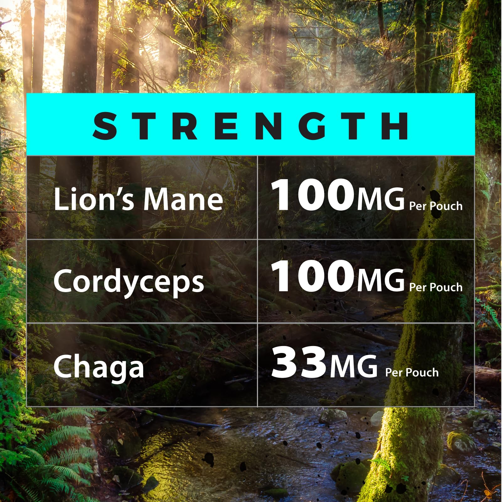 Fully Loaded Alpha Mushrooms Adaptogen Nootropic

