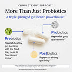 Gundry MD Bio Complete 3 Gut Health Probiotic Blend

