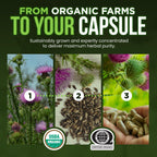 OmniBiotics Organic Milk Thistle Supplement

