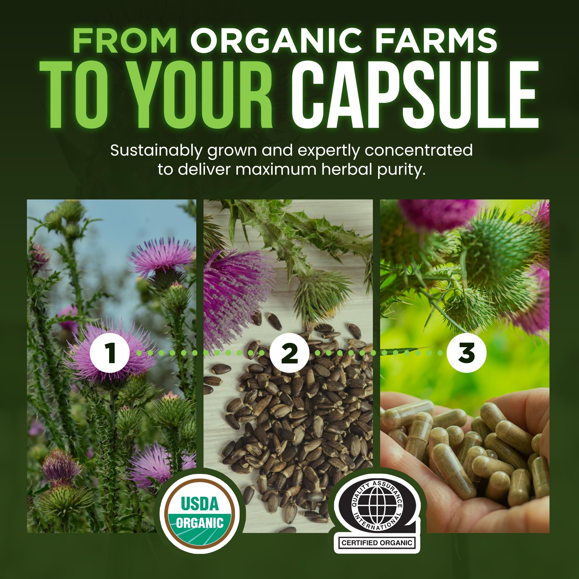 OmniBiotics Organic Milk Thistle Supplement

