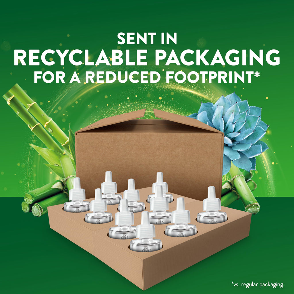 Air Wick Plug-In Scented Oil Refills | Universal Fragrance

