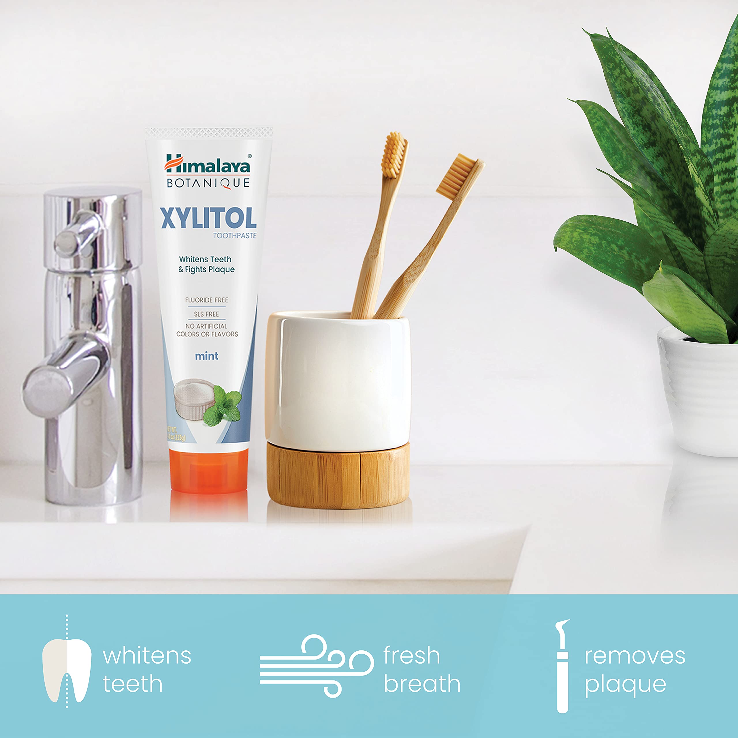 Himalaya Botanique Toothpaste Whitening Antiplaque Xylitol

