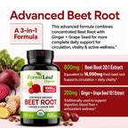 ForestLeaf Beet Root Capsules 1000mg Ginger Grape Seed

