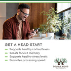 Phosphatidylserine Supplement by Double Wood

