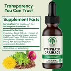 Lymphatic Drainage Drops – Herbal Lymphatic Support

