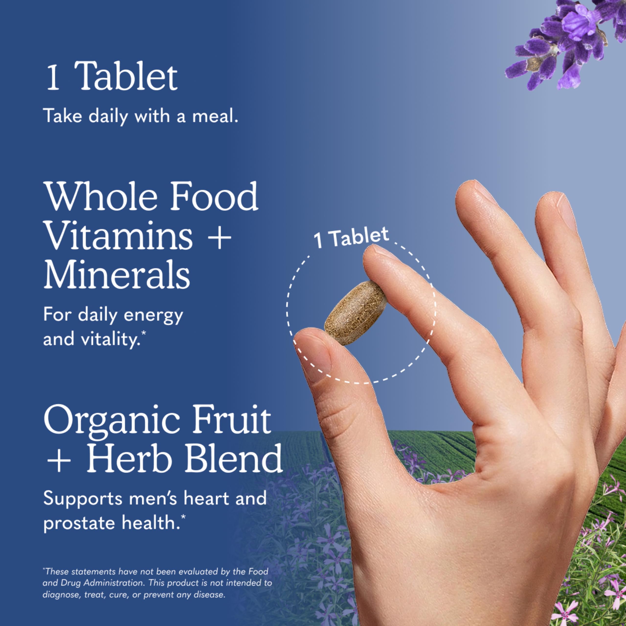 Garden of Life Men's Whole Food Multivitamin | Once Daily

