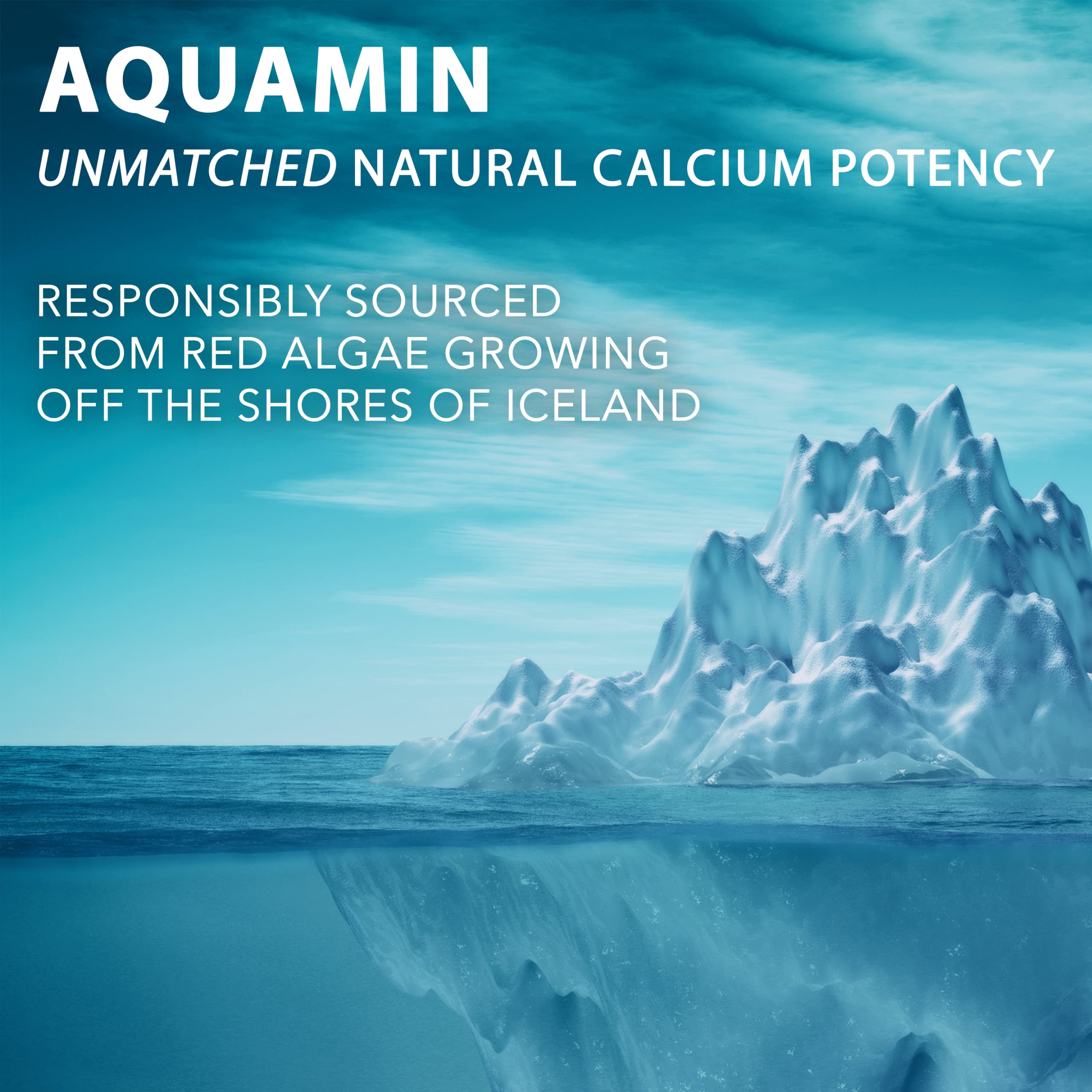 PlantFusion Vegan Calcium Magnesium with D3 K2 Aquamin

