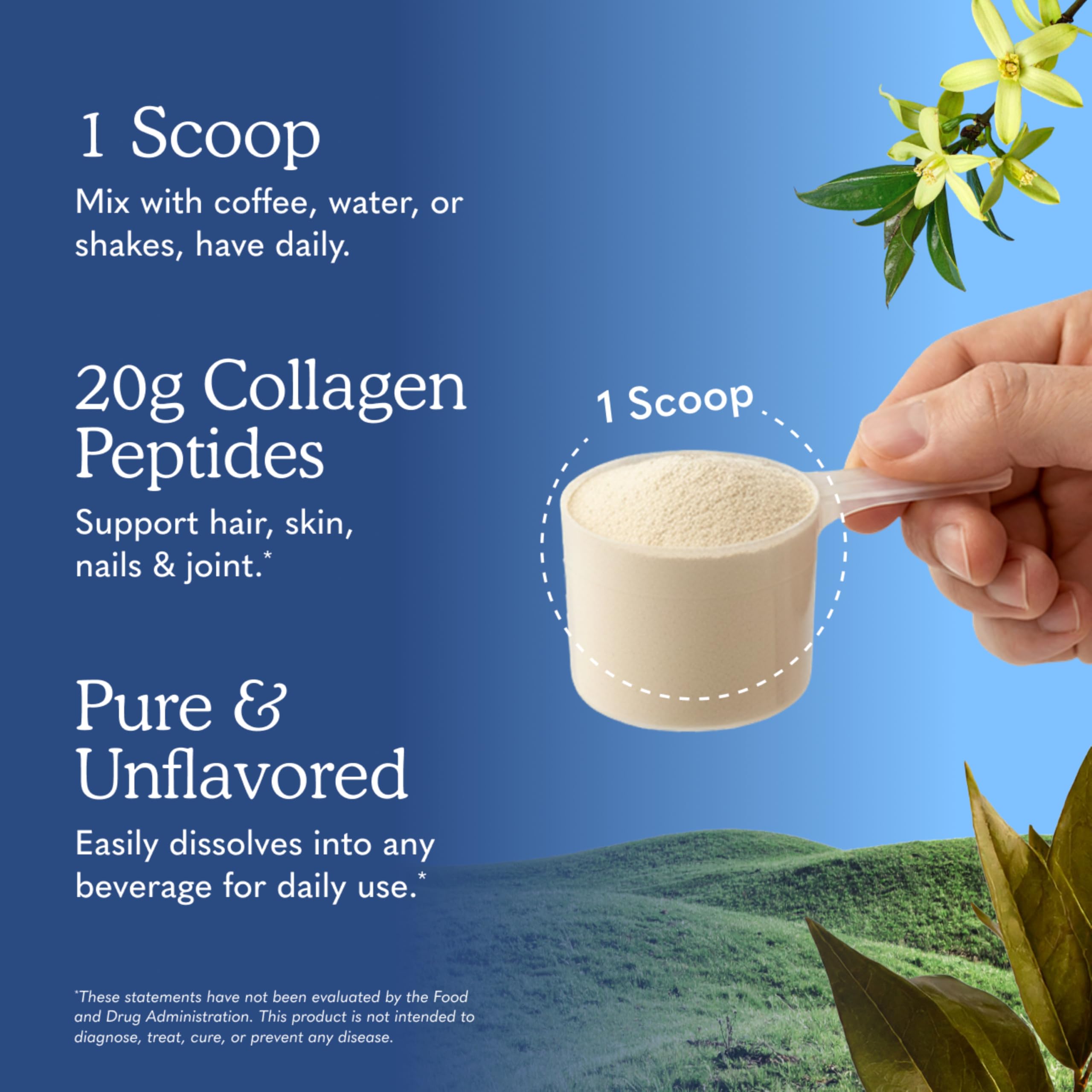 Garden of Life Grass Fed Collagen Peptides Powder for Skin

