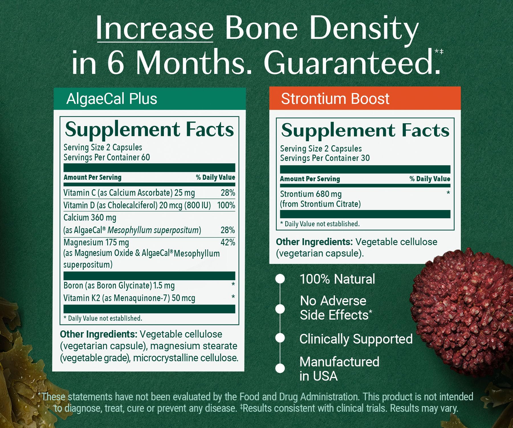 Calcium Supplement ALGAECAL Bone Builder Bundle

