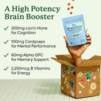 Plant People WonderFocus Mushroom Gummies | Nootropic Brain Support

