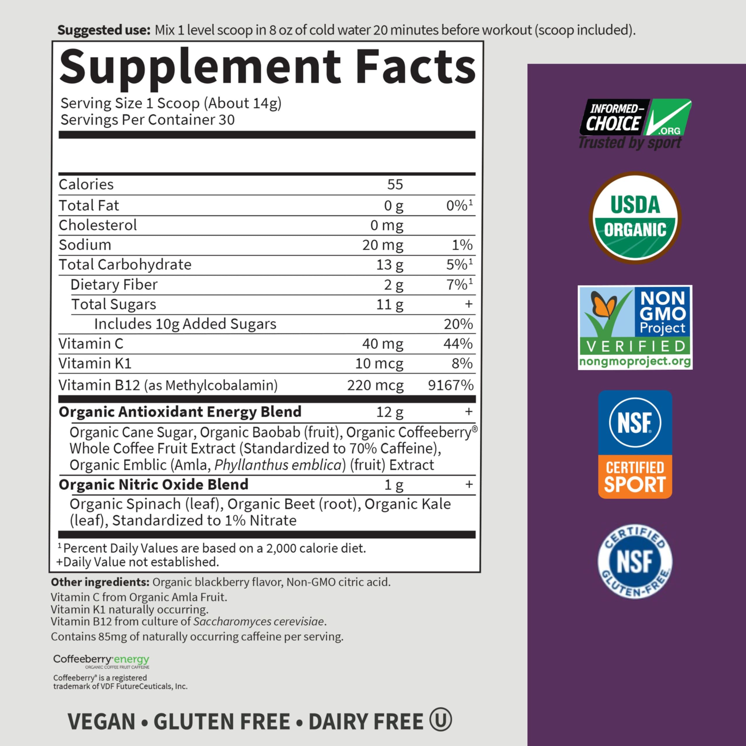 Garden of Life SPORT Organic Pre Workout Energy + Focus

