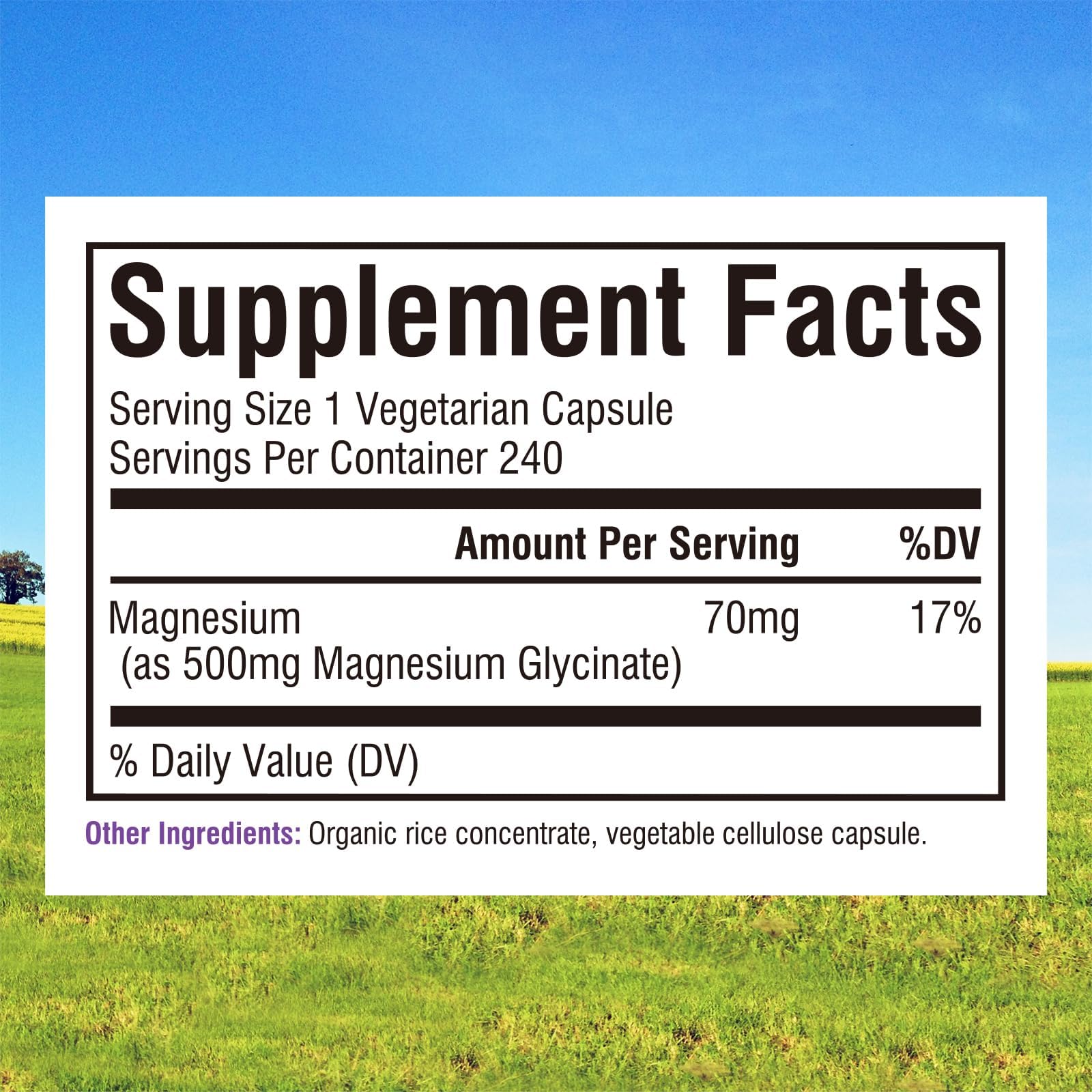 Innate Vitality Magnesium Glycinate 500mg – Vegan, Non-GMO


