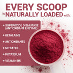 Dr. Berg Organic Beetroot Powder for Nitric Oxide

