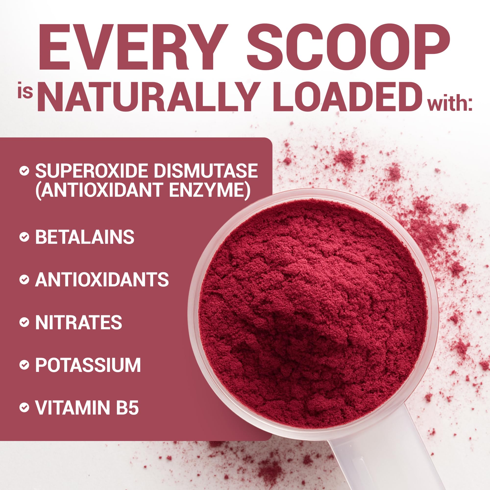 Dr. Berg Organic Beetroot Powder for Nitric Oxide

