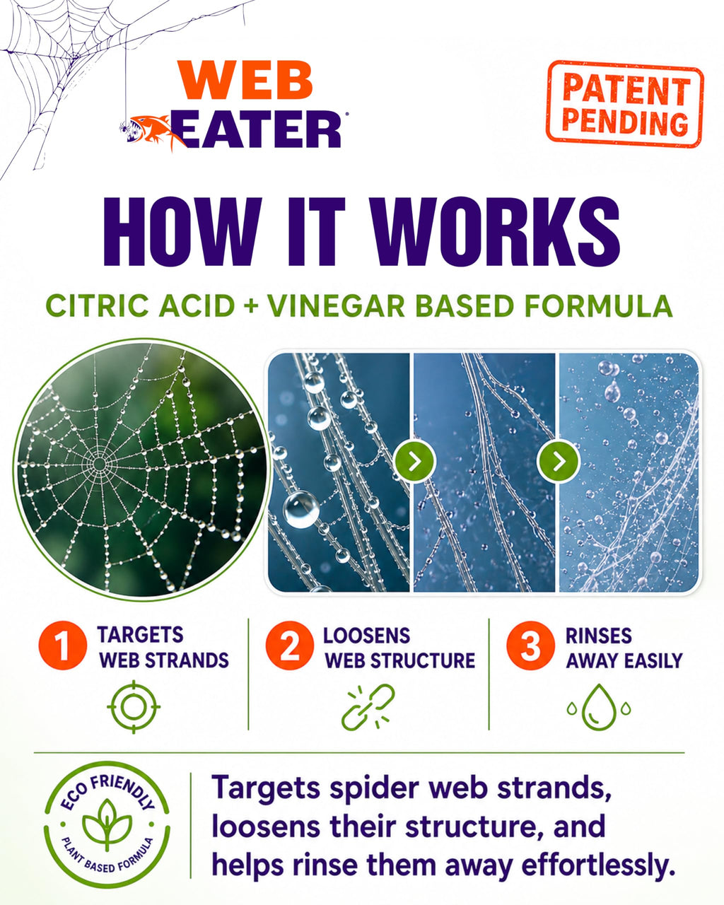 Advanced Outdoor Spider Web Dissolver and Repellent Pet Safe

