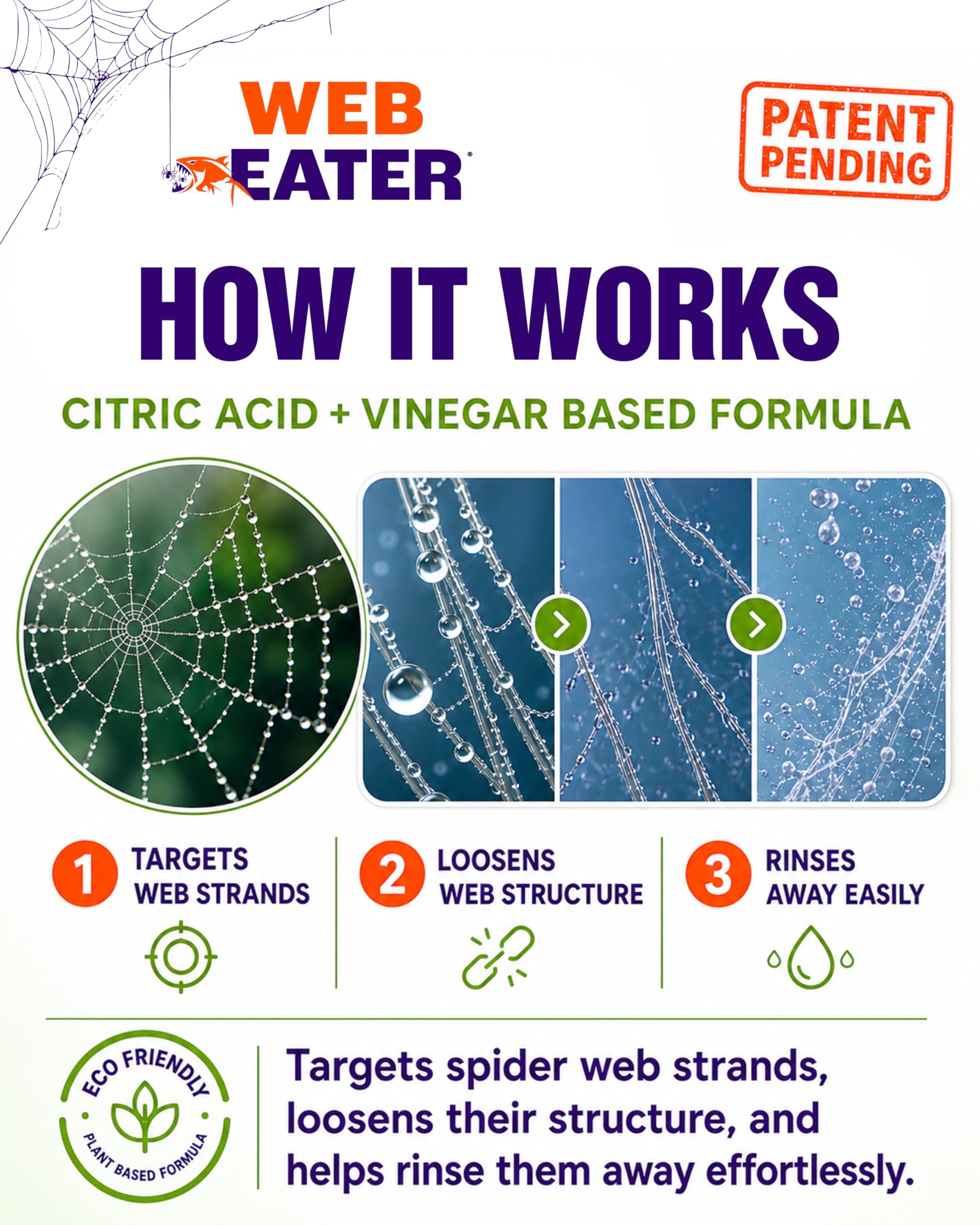 Advanced Outdoor Spider Web Dissolver and Repellent Pet Safe

