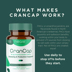 Heale Cranberry Pills for Urinary Tract Health - 36 mg PACs

