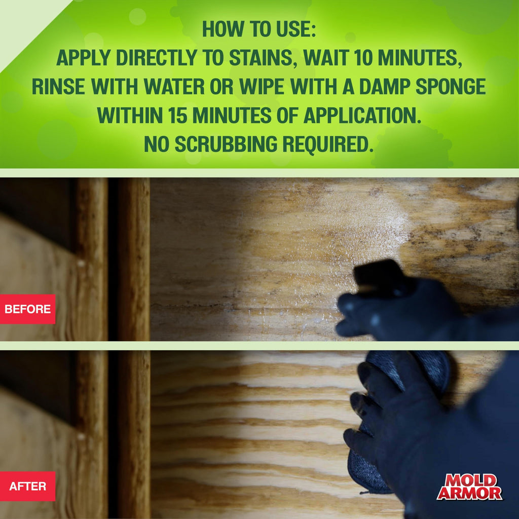 Mold Armor Mold Kill & Control Spray | Hard Surfaces

