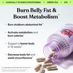 Lemme Burn Metabolism Support | Actiponin Gynostemma

