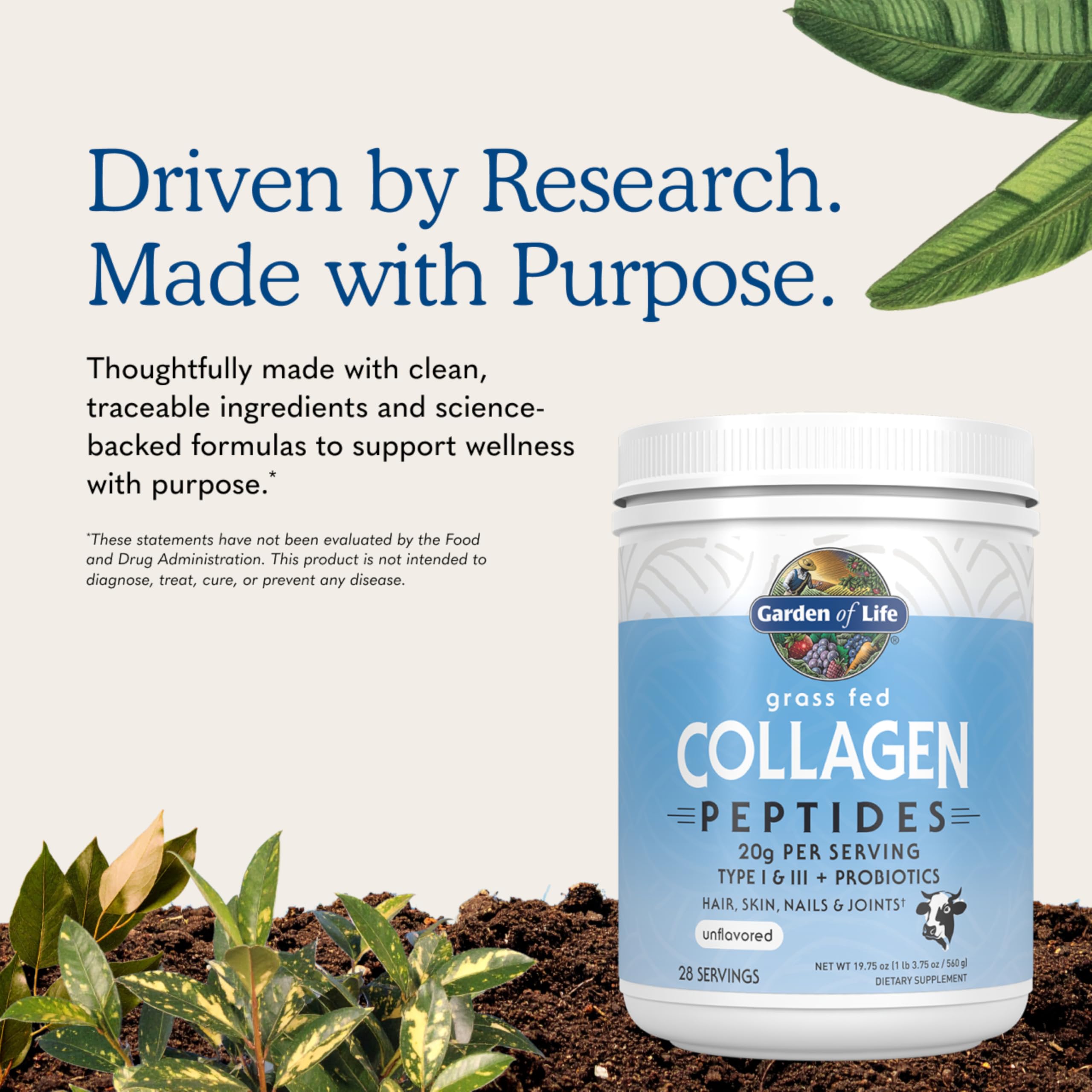 Garden of Life Grass Fed Collagen Peptides Powder for Skin

