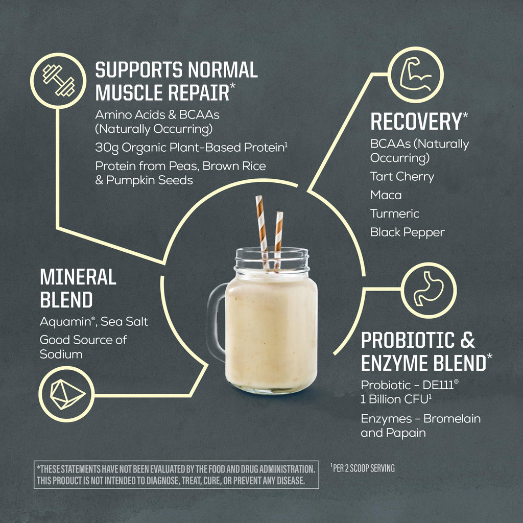 Sunwarrior Organic Plant Based Protein Powder | Vegan

