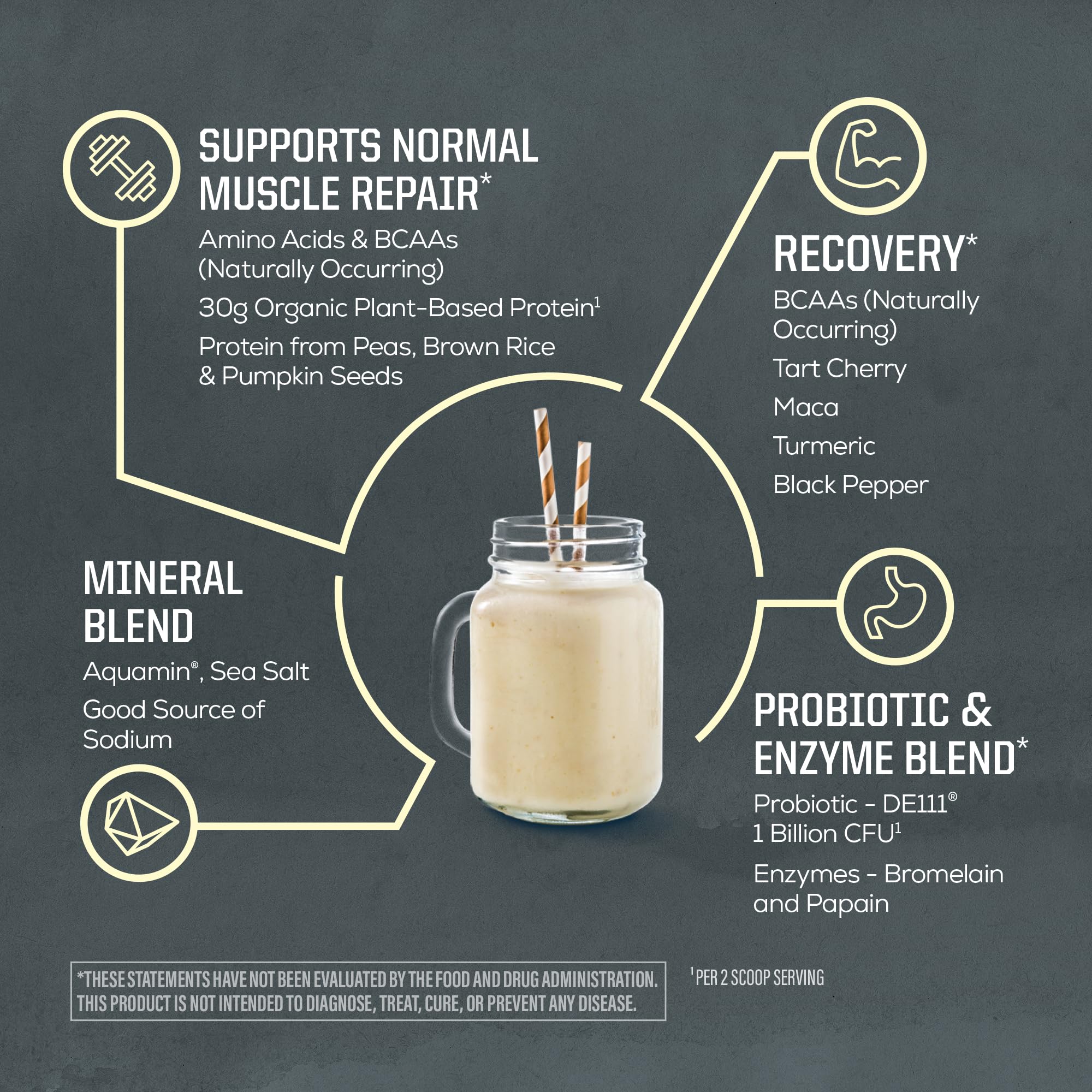 Sunwarrior Organic Plant Based Protein Powder | Vegan

