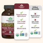 Psyllium Husk Fiber Organic India

