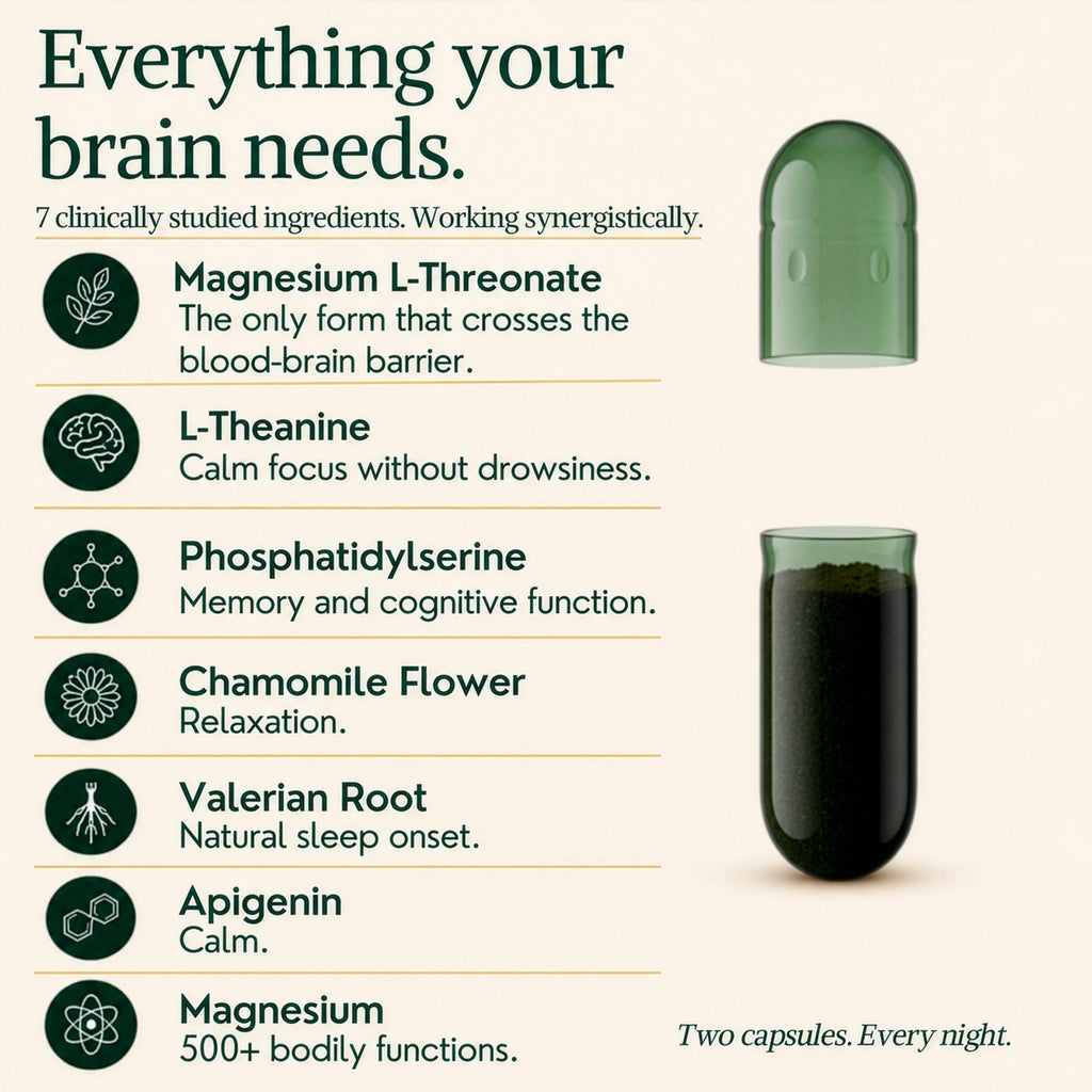 MagPlus+ Sleep and Brain Support Supplement

