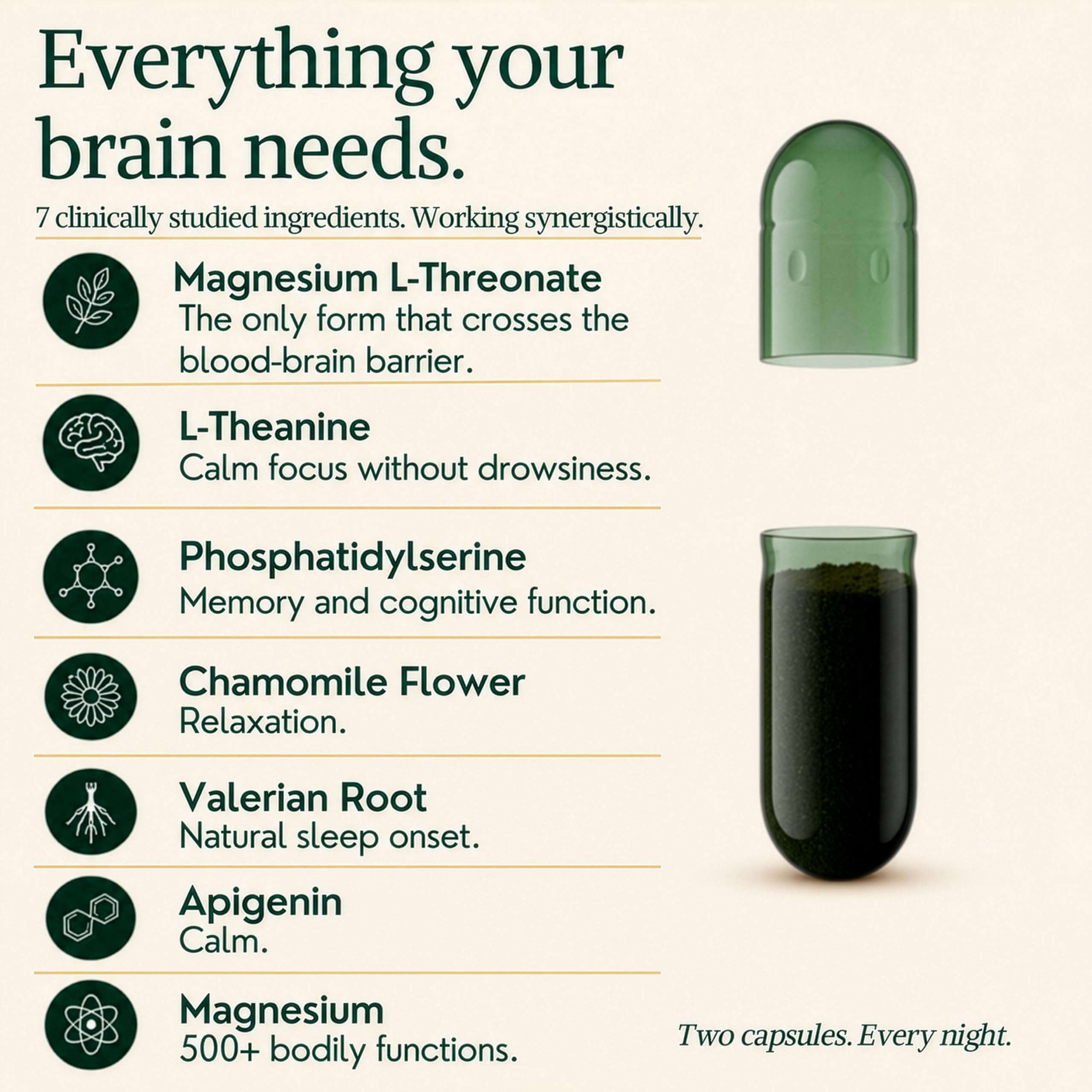 MagPlus+ Sleep and Brain Support Supplement

