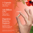 Probiotics by Garden of Life: Raw for Women and Men

