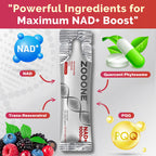 Zooone NAD+ Supplement for Healthy Aging and Energy

