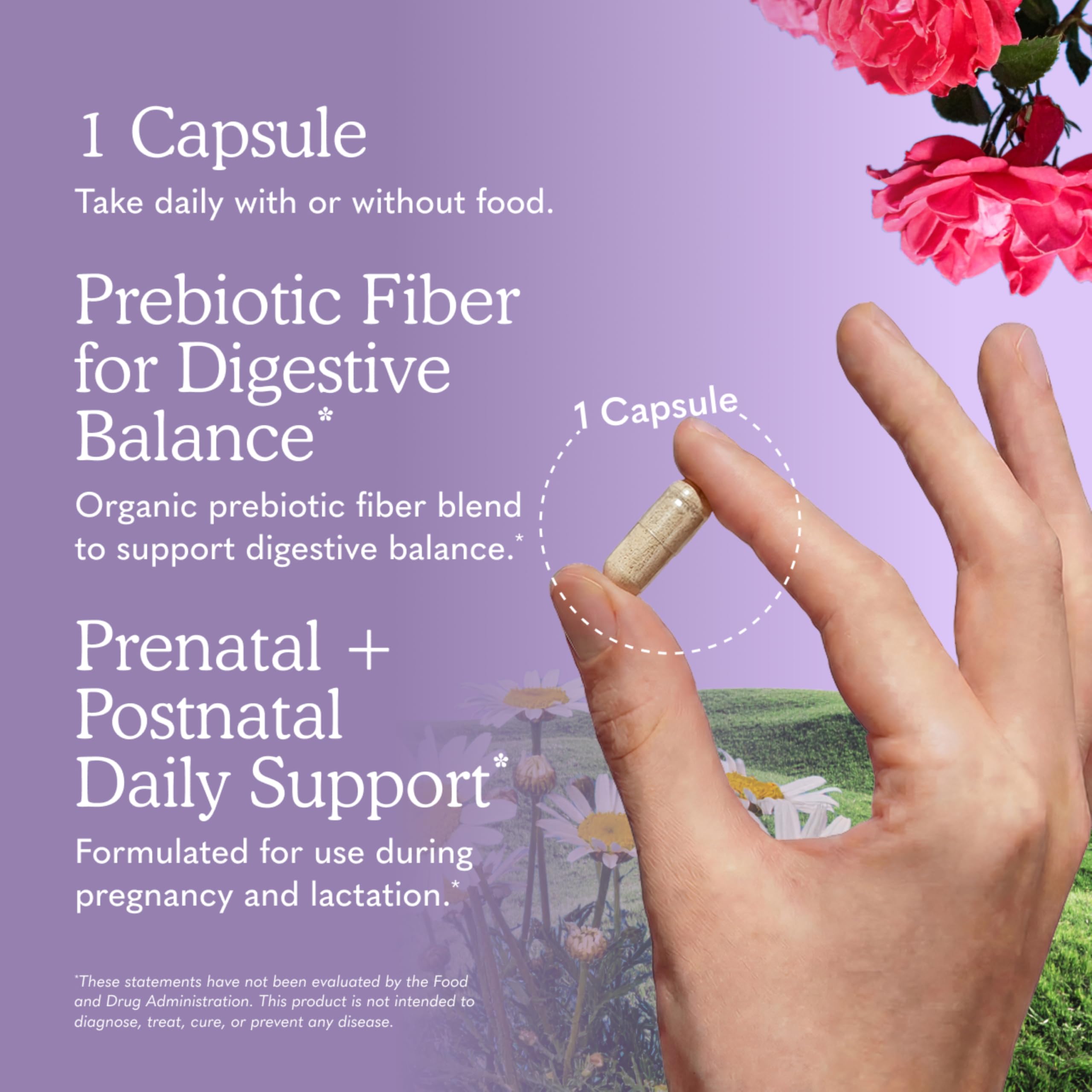 Garden of Life Dr Formulated Prenatal Probiotics Once Daily

