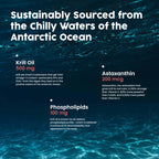 NativePath Antarctic Krill Oil Softgels EPA DHA Astaxanthin

