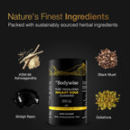 Be Bodywise Himalayan Shilajit Gummies Gold – Lab Tested

