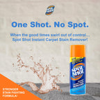 Spot Shot Instant Carpet Stain Remover Aerosol


