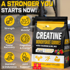 Creatine Monohydrate Gummies for Muscle Support | Vegan

