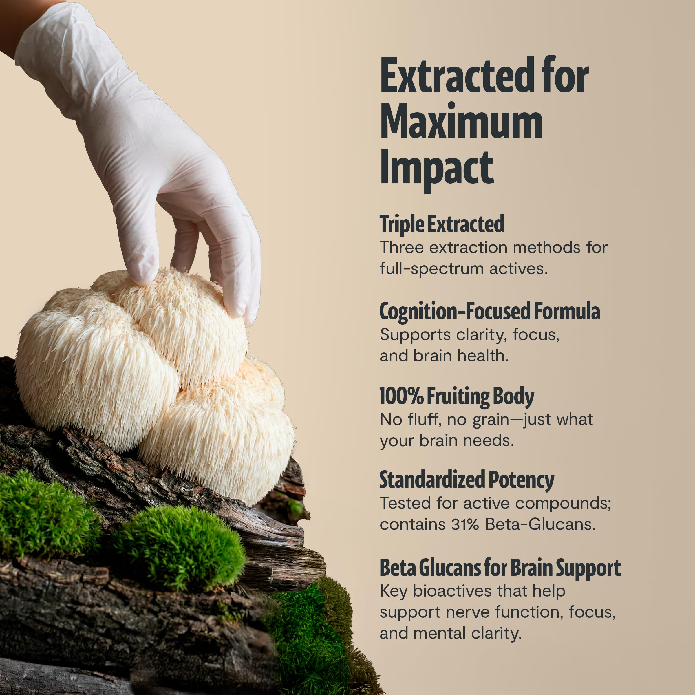 FreshCap Lion's Mane Capsules - 14:1 Organic Extract

