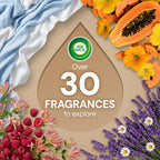 Air Wick Plug-In Scented Oil Refills with Essential Oils

