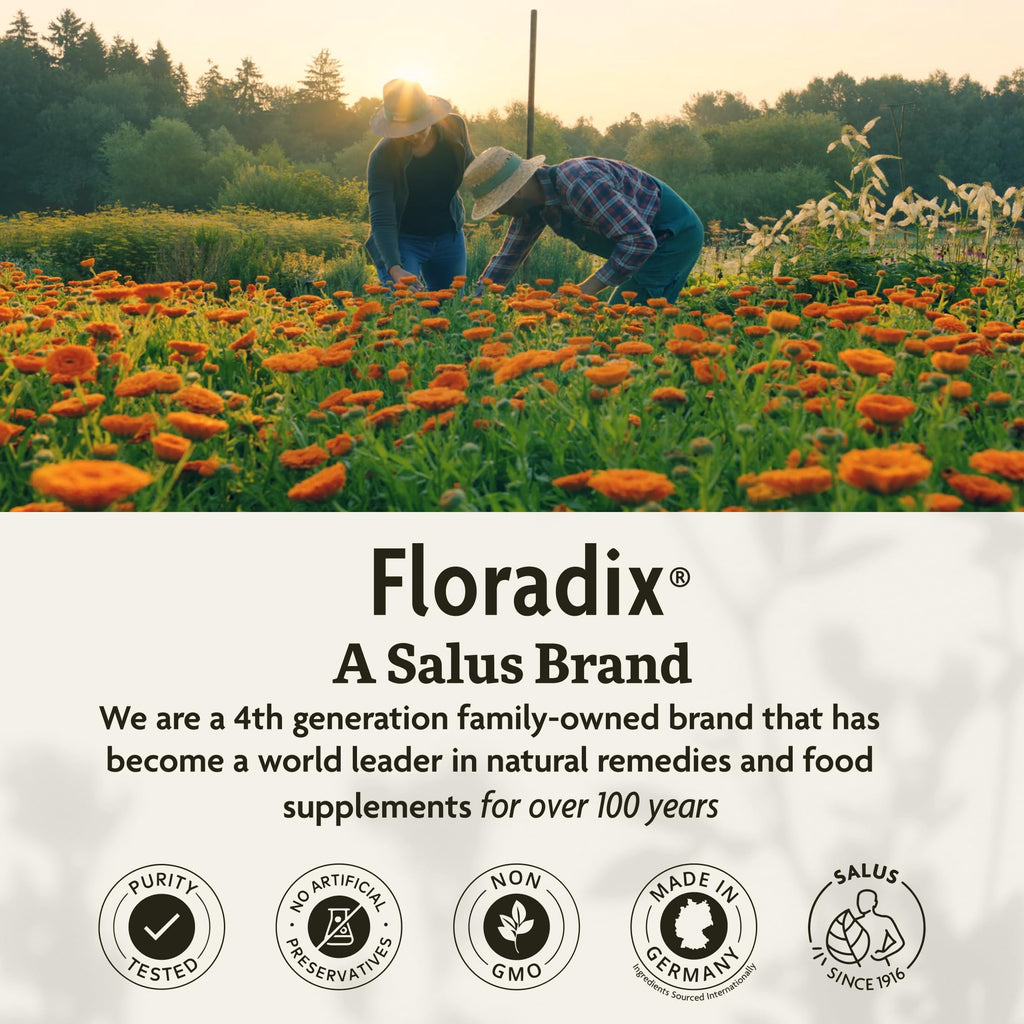 Floradix Iron & Herbs Liquid Iron Supplement

