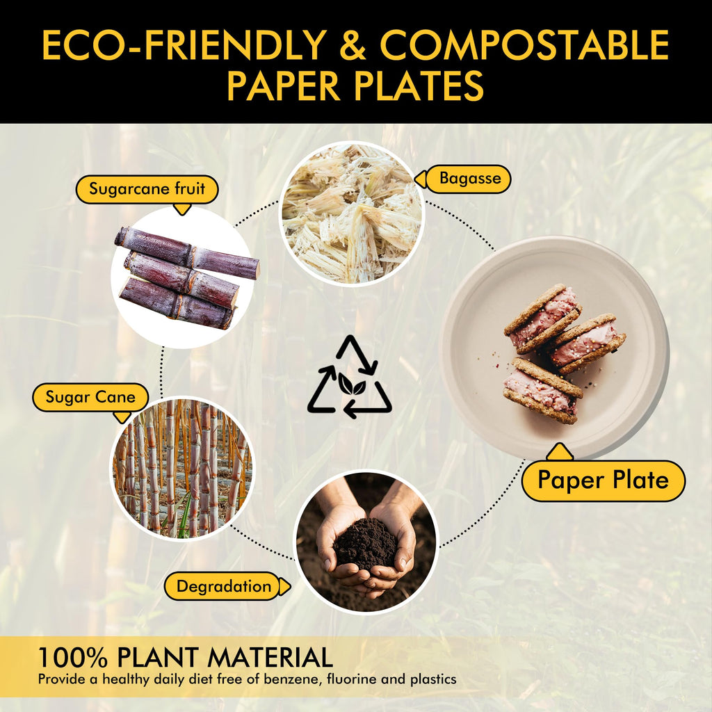 RACETOP Compostable Paper Plates - Heavy Duty

