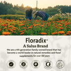Floradix Iron Tablets - Iron Supplement with B Vitamins

