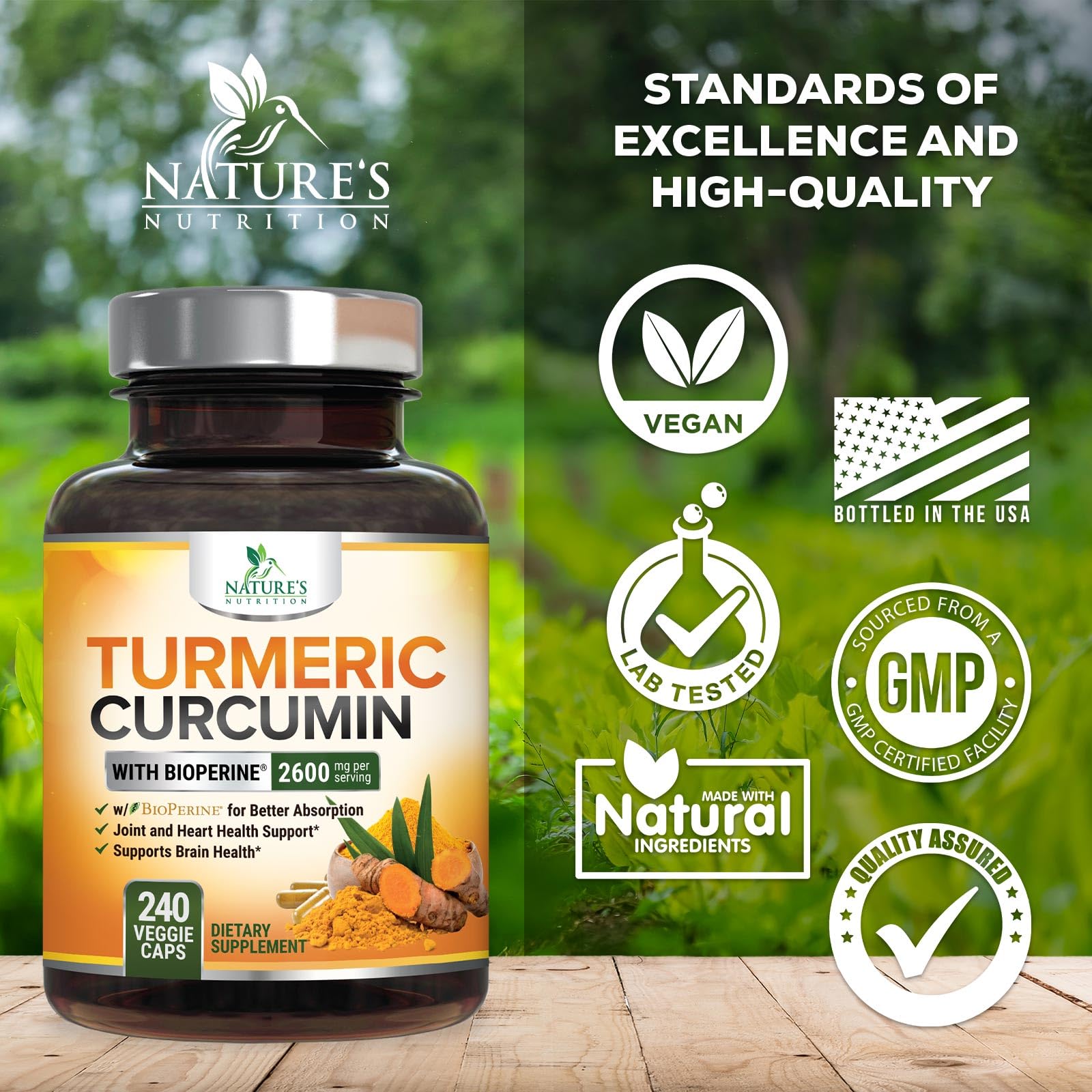 Nature's Nutrition Turmeric Curcumin - Absorption

