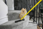 FURemover Pet Hair Removal Rubber Broom | Multi-Surface

