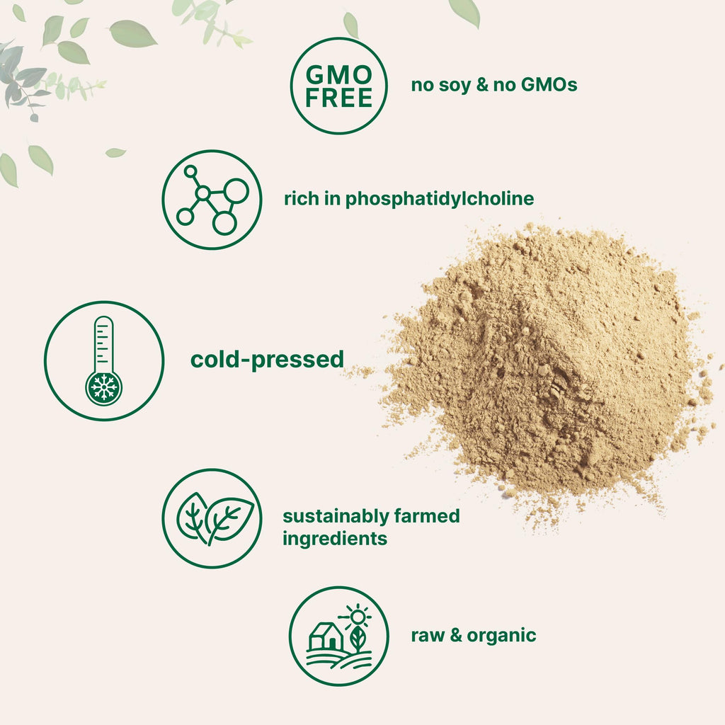Organic Sunflower Lecithin Powder – Non-GMO, Cold-Pressed

