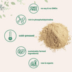Organic Sunflower Lecithin Powder – Non-GMO, Cold-Pressed

