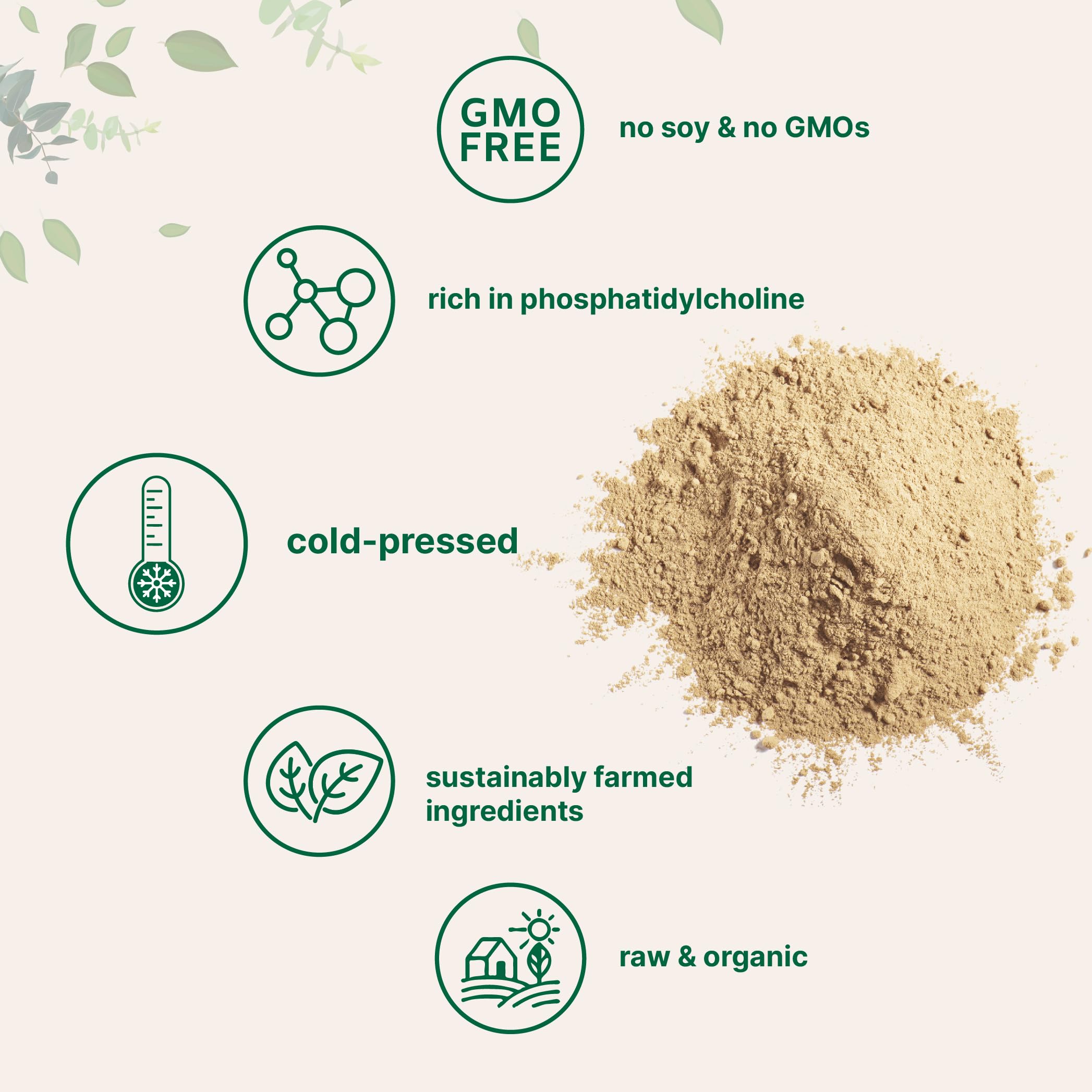 Organic Sunflower Lecithin Powder – Non-GMO, Cold-Pressed

