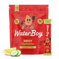 WaterBoy Daily Hydration Electrolyte Powder Drink Mix